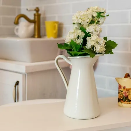 Vintage In The Center Apartment